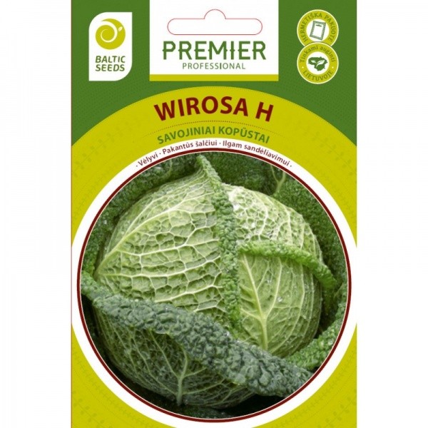 Kopūstai savojiniai Wirosa H