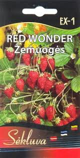 Žemuogės Red Wonder EX-1 0.2g