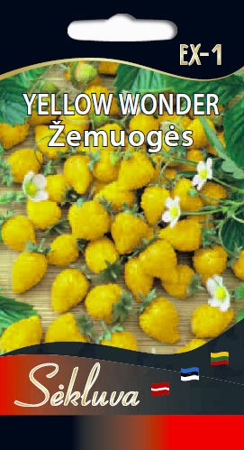 Žemuogės Yellow Wonder EX-1