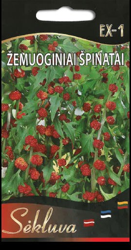 Špinatai žemuoginiai EX-1 0.4g