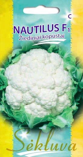 Kopūstai žiediniai Nautilus (C grupė) 30s