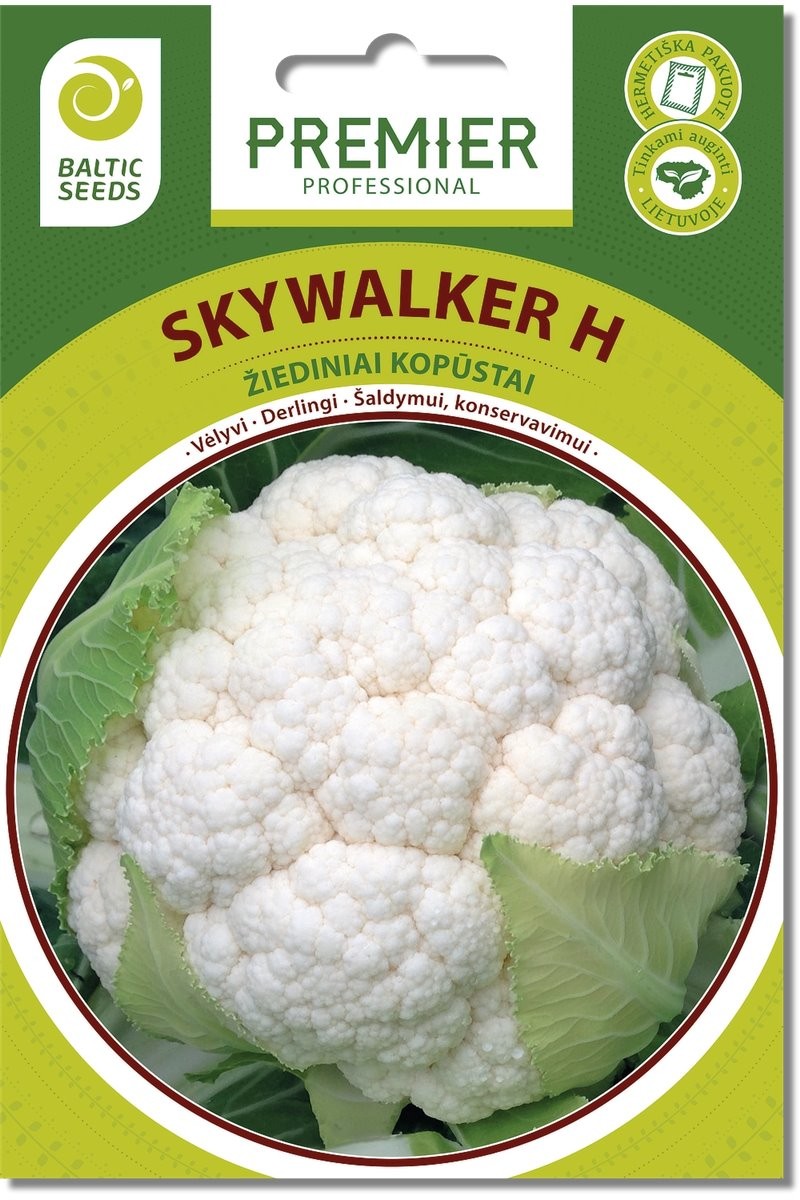 Kopūstai žiediniai Skywalker H