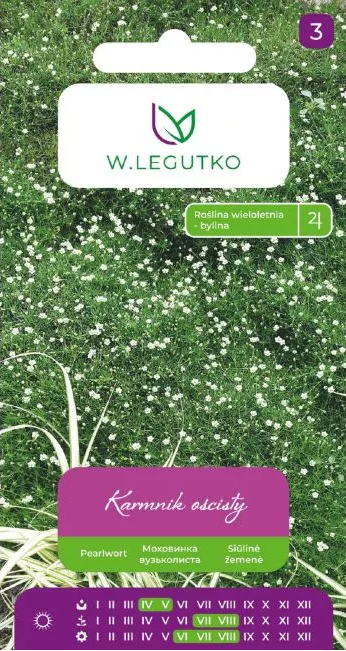 Siūlinė žiemenė Sagina 0.03g