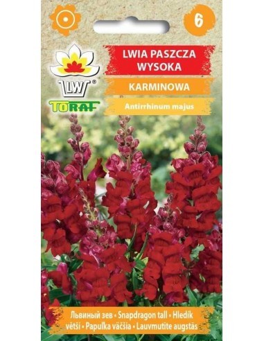 Didieji žioveiniai (raudoni)