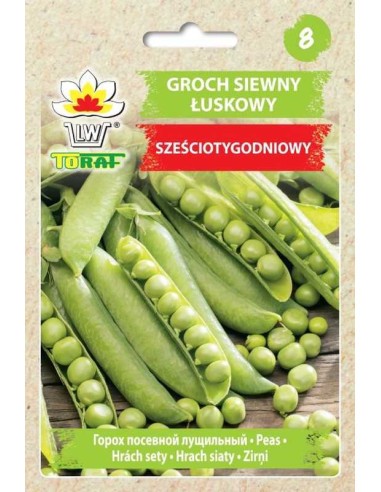 Žirniai ankštiniai Szesciotygodiowy