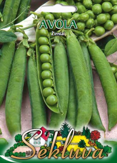 Žirniai raukšlėtieji Avola (Sodžius)