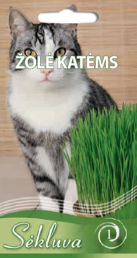 Žolė katėms (1 grupė)