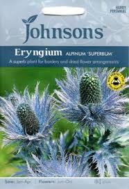 Zundos alpinės Superbum