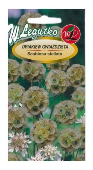 Žvaigždiškos žvaigždūnės