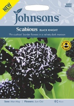 Raudonosios žvaigždūnės Black Knight