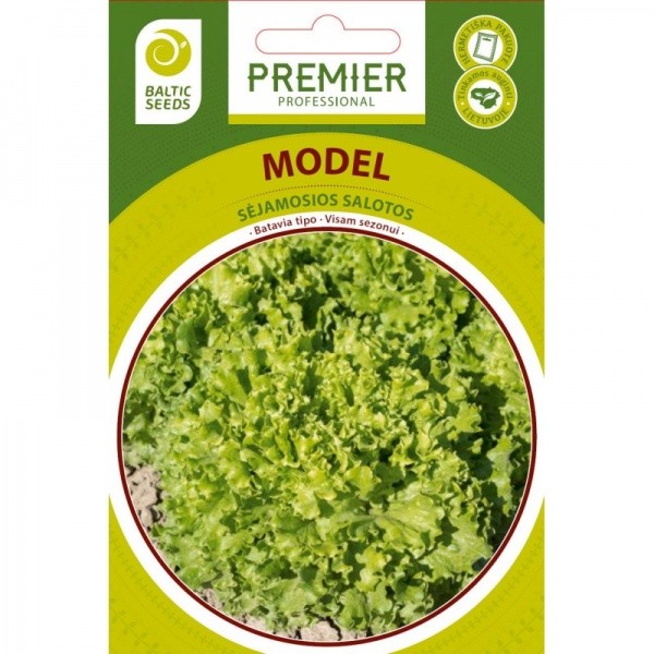 Salāti  Model
